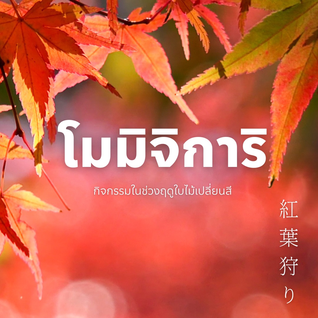 Momiji-Gari โมมิจิการิ คืออะไร?