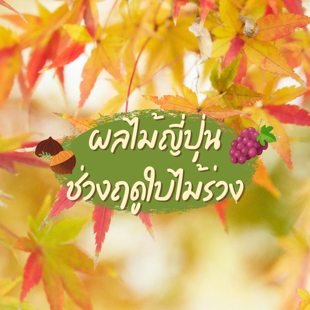 ผลไม้ญี่ปุ่นช่วงฤดูใบไม้ร่วง